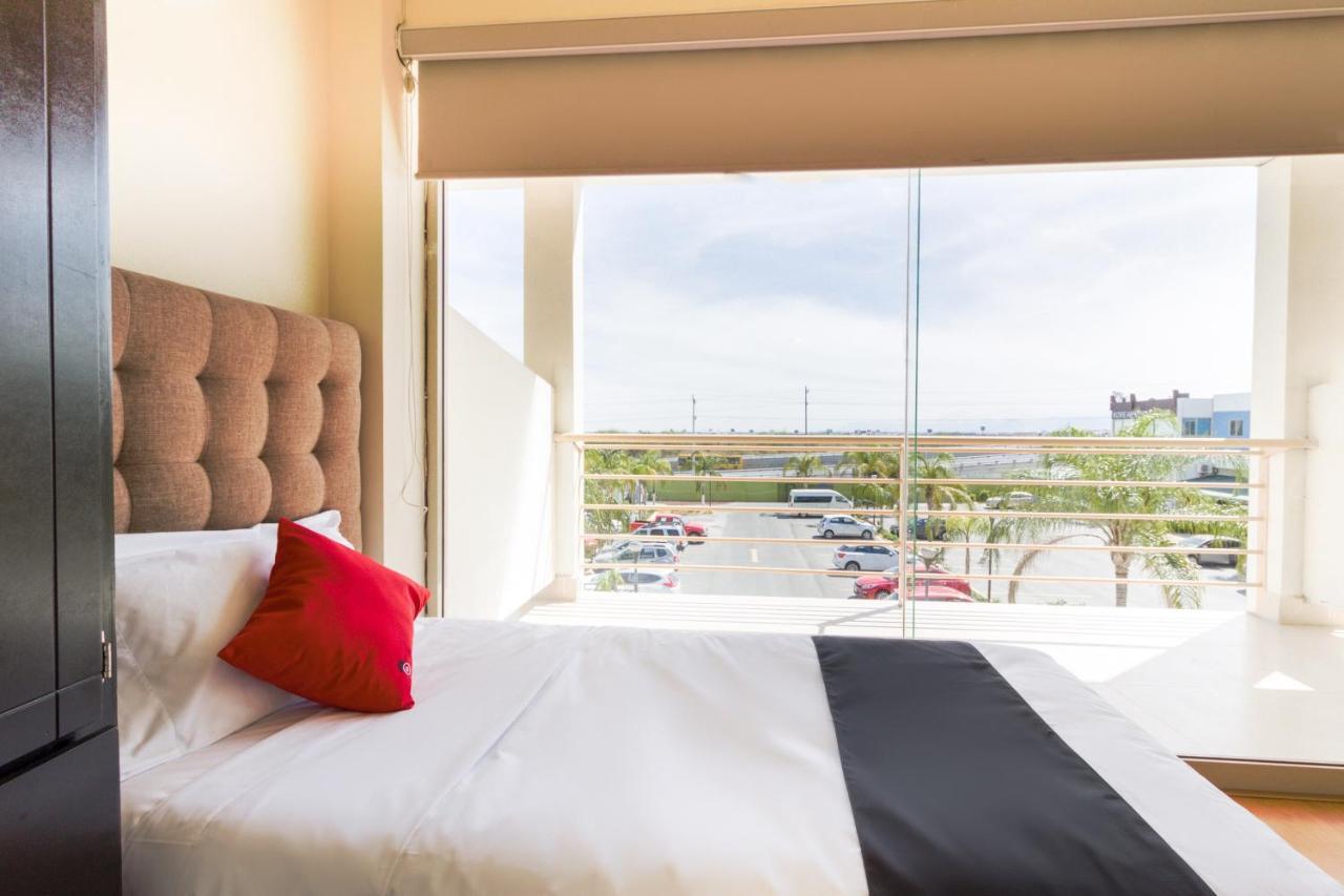 Ecohabit, Monterrey Hotel Apodaca Eksteriør billede
