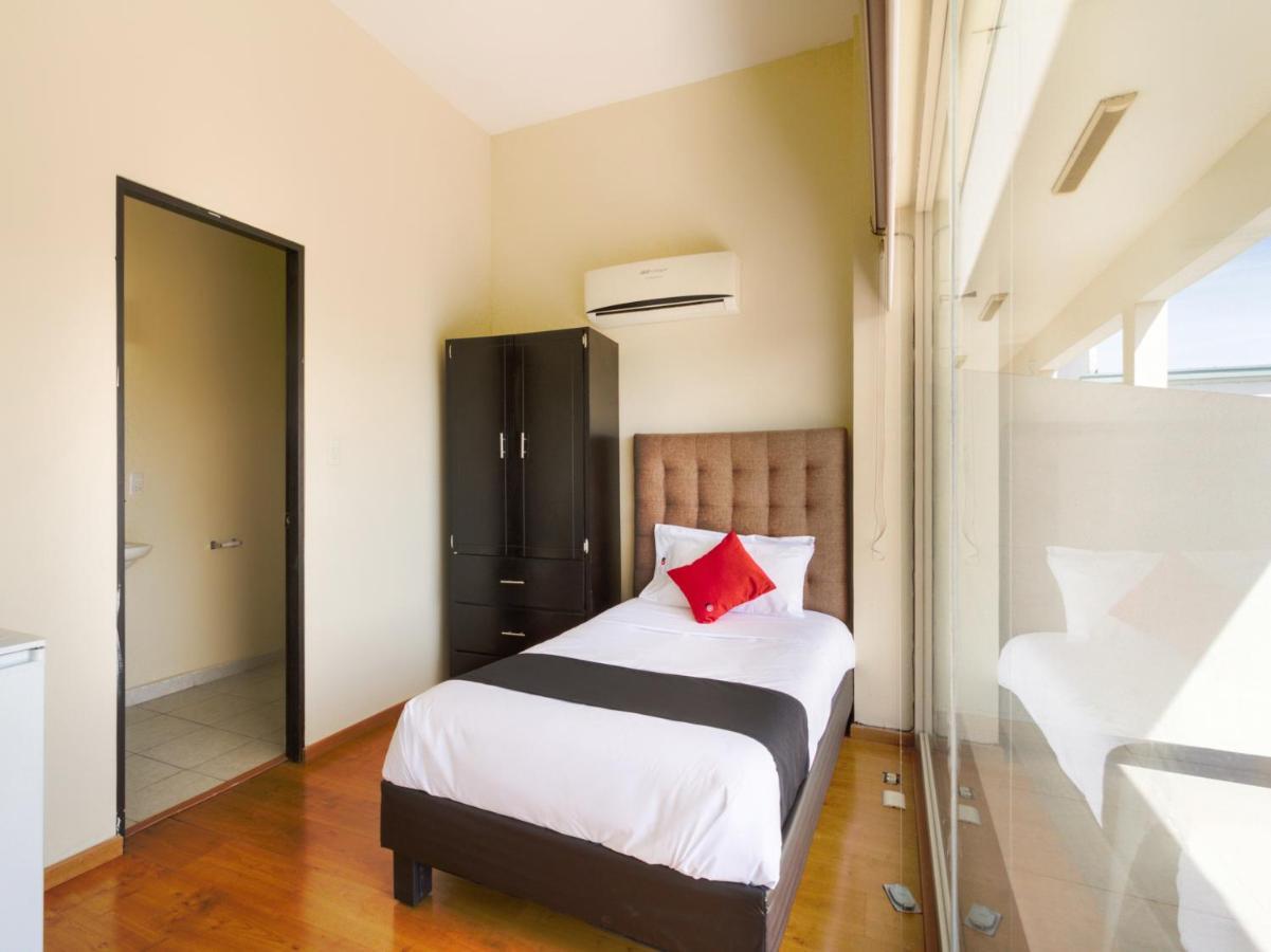 Ecohabit, Monterrey Hotel Apodaca Eksteriør billede
